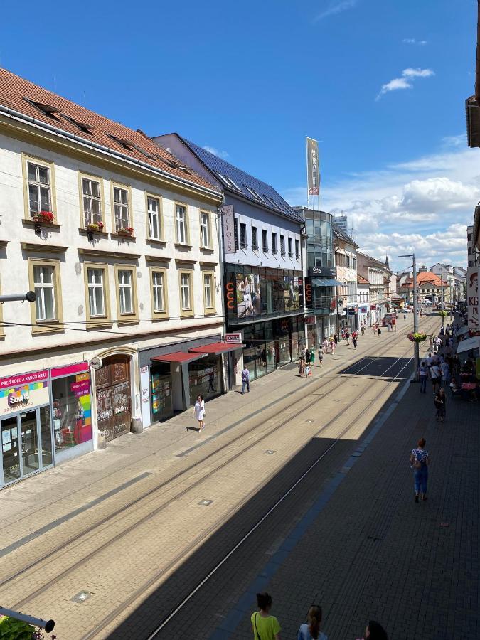 Schoendorf - Virtual Reception Hostel Pressburg